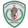 FAP Women logo - Fiba Basketball Africa Women League Fap Women Vs First Bank Basketball Club Women Live Basketball