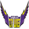 Hochiminh City Wings logo - PBA Prediction