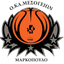 Oka Mesogion logo
