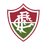 Fluminense U22 logo