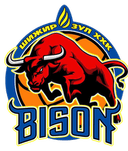 Nalaikh Bison logo - Mongolia The League Nalaikh Bison Vs Darkhan United Live Score Today