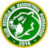 Purranque SAESA logo