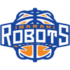 Ibaraki Robots logo