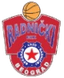BKK Radnicki logo