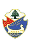 Club Central Jounieh logo