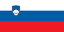 Slovenia U17 logo