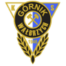 Victoria Górnik Walbrzych logo