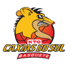 Recreio da Juventude U19 logo - Brazil Fpbu Sao Jose Desportivo U Vs Recreio Da Juventude U Results