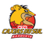 Recreio da Juventude U19 logo