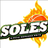 Soles De Santo Domingo Este logo