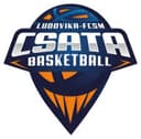 Vasas Csata Womens logo - Hungary Womens Diva Mkb Euroleasing Women Vs Vasas Csata Womens Result
