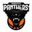 Indian Panthers logo - New Zealand Nbl Basketball Result