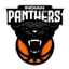 Indian Panthers logo