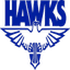 Perry Lake Eagle logo