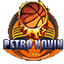 Novin Mahshahr logo
