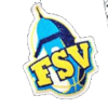 KK FSV Women logo - Pzl Kk Fsv Women Vs Zkk Medvescak W Live Score