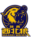Shaanxi Xinda logo