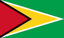 Guyana logo