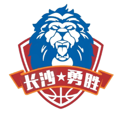 Hunan Changsha Yongsheng logo