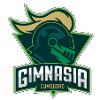 Comodoro Rivadavia logo - Argentina Aln San Lorenzo Ldd Vs Comodoro Rivadavia Basketball Live Score