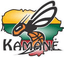 Vilniaus Kamane Women logo