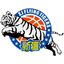 Xinjiang Flying Tigers logo