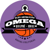 CDSC Omega Quilpue U23 logo - Chile Liga Desarrollo U Cd Espanol De Talca U Vs Cdsc Omega Quilpue U Live Result