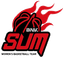 BNK Sum Women logo
