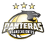 Panteras Parque Lefevre logo