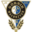 Gornik Trans.Eu Walbrzych U19 logo