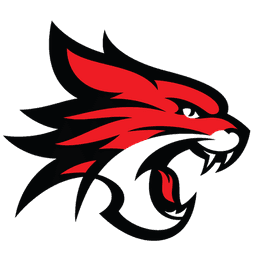Perth Wildcats logo