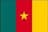 Cameroon logo