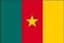 Cameroon logo