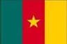 Cameroon logo