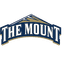 Mount St. Marys (W) logo