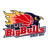 Iwate Big Bulls logo