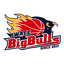 Iwate Big Bulls logo