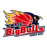 Iwate Big Bulls logo