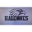 Halcones logo