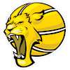 Campo Mourao U22 logo - Brazil Ldb U Campo Mourao U Vs Bauru U Live Score Today