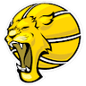 Campo Mourao U22 logo