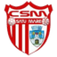 CSM Satu Mare Women logo