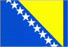 Bosnia and Herzegovina logo