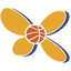 Triglav Women logo