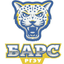Bars Rostov logo