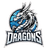 Hidden Dragons logo