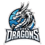 Hidden Dragons logo