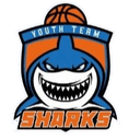 Shanghai Youth United Team logo - Live Future Stars Game Shanghai Youth United Team Vs Australia Select Team