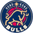 Hong Kong Bulls logo - Beijing Royal Fighters Scores