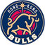 Hong Kong Bulls logo
